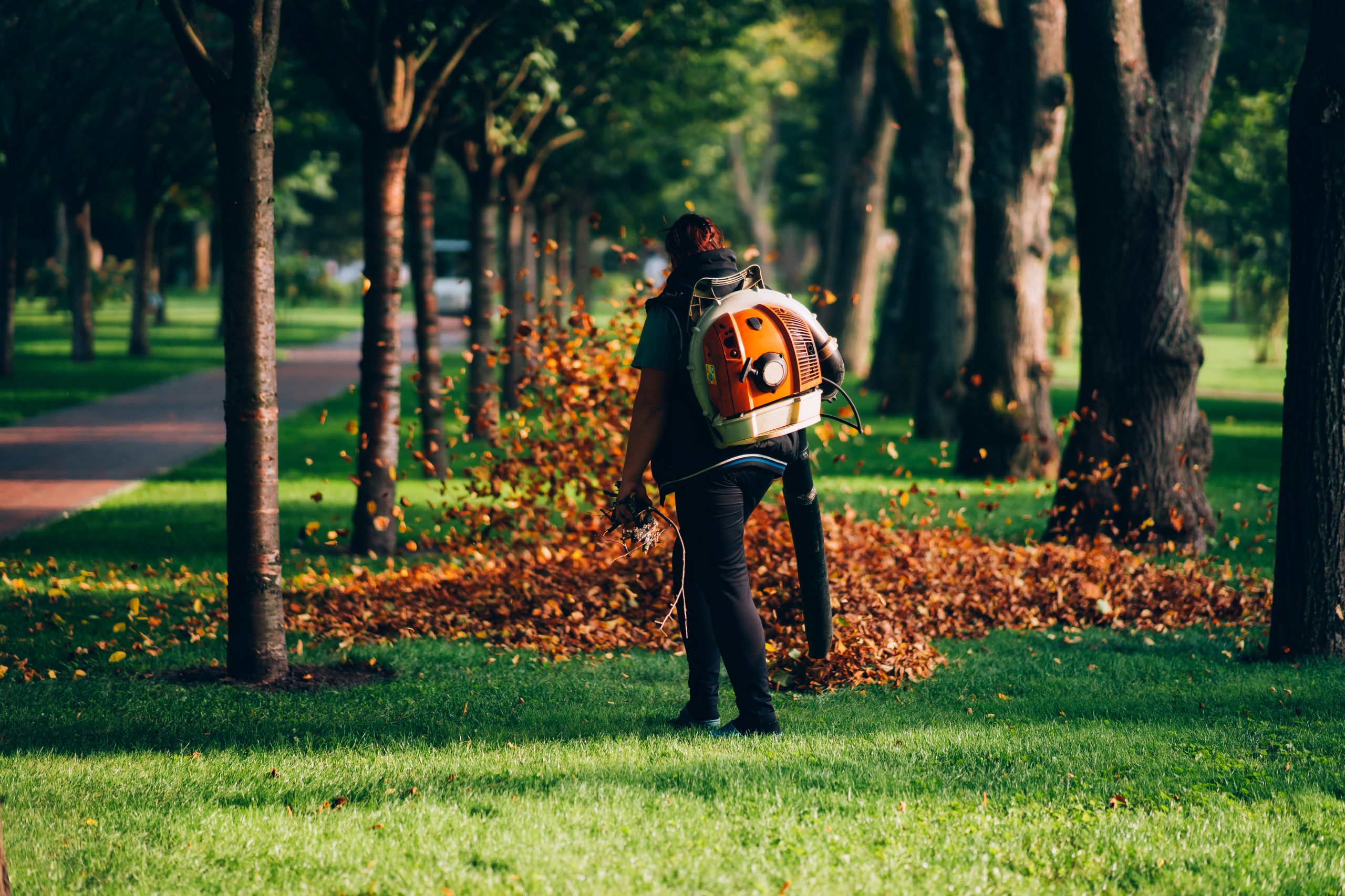 a woman operating a heavy duty leaf blower.